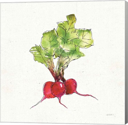 Framed Veggie Market II Radish Print