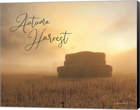 Framed Autumn Hay Harvest Print