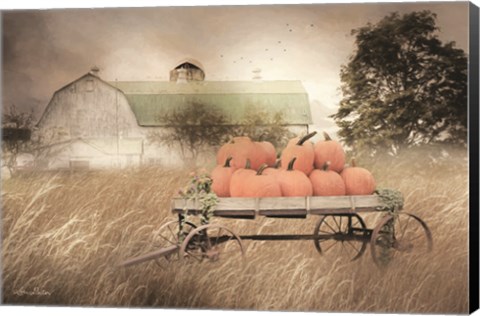 Framed Pumpkin Harvest Print