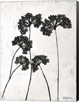 Framed Queen Anne&#39;s Lace I Print