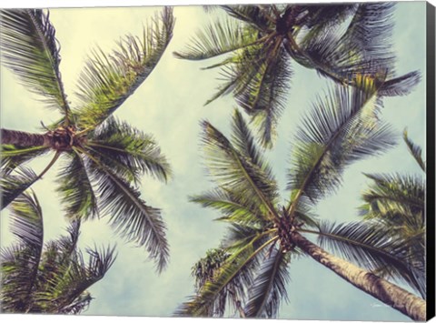 Framed Palms in the Sky Print