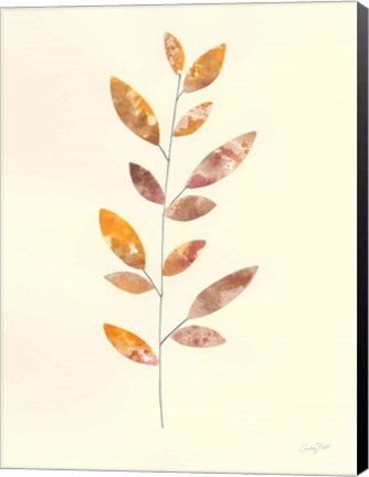 Framed Natural Wonder V Print