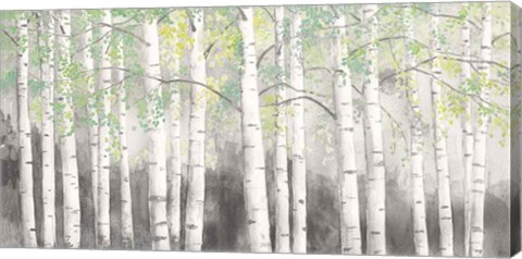 Framed Soft Birches Charcoal Print