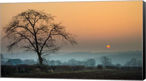 Framed Morning Sun Print