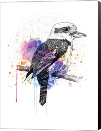 Framed Kookaburra Print