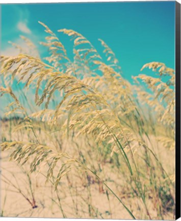 Framed Sea Oats Print