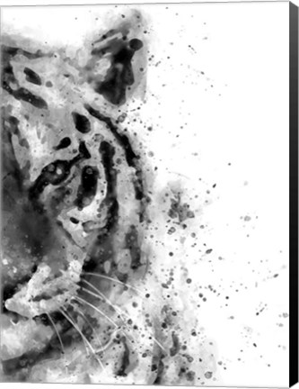 Framed Tiger At Attention Print