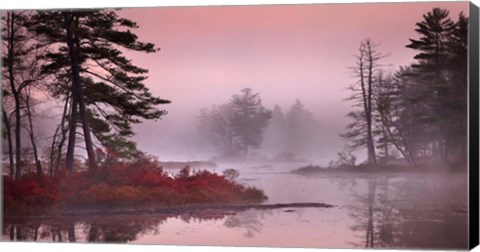 Framed Pink Fog Print