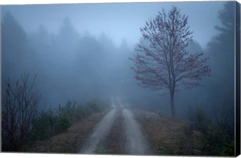 Framed Spring Fog Print