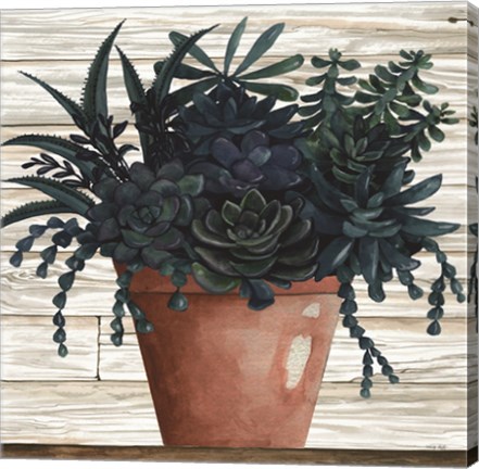 Framed Remarkable Succulents III Print