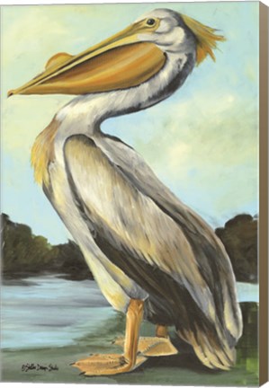 Framed Grand Pelican Print