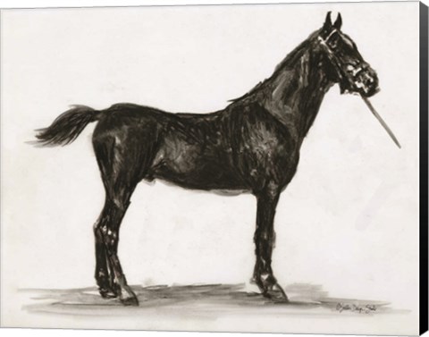 Framed Horse Study 3 Print