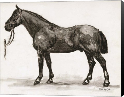 Framed Horse Study 4 Print