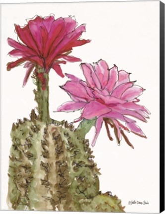 Framed Cactus Flower 2 Print