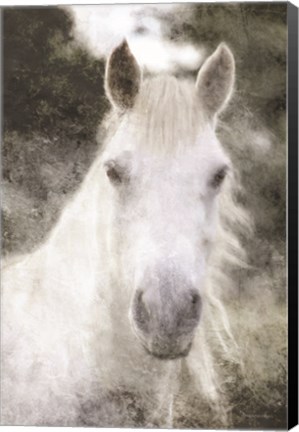 Framed White Horse Mystique Print