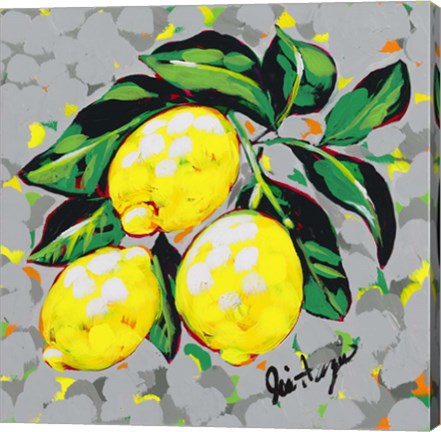 Framed Fruit Sketch Lemons Print