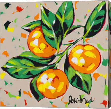 Framed Fruit Sketch Oranges Print