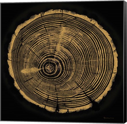 Framed Tree Trunk I Print