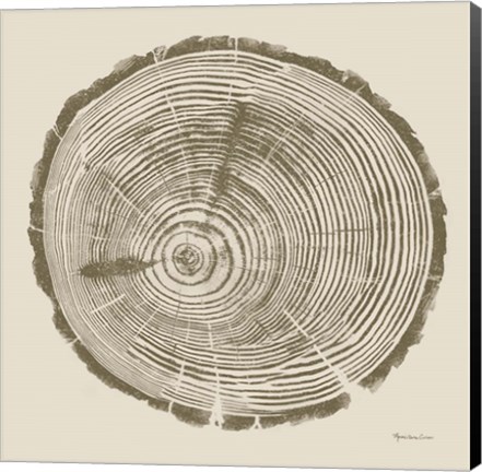 Framed Tree Trunk cream I Print