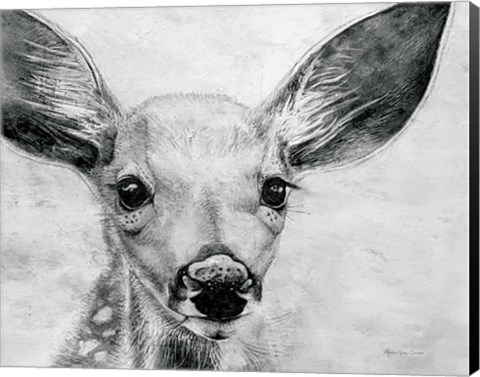 Framed Portrait of a Fawn Print