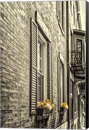 Framed Window Boxes Print