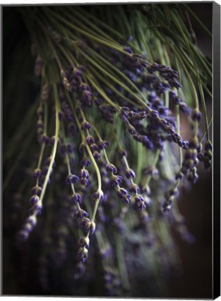 Framed Purple Buds Print