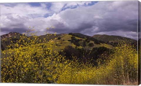 Framed Rolling Hills Print