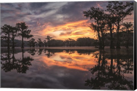 Framed Sunrise in the Swamps Print