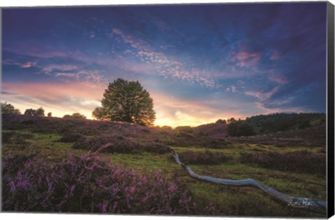 Framed Blue Hour Print