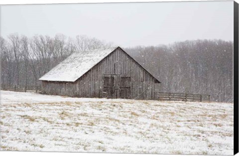 Framed First Snow Print