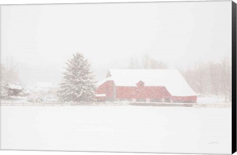 Framed Big Red Print