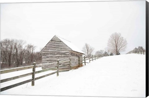 Framed Fenced In Print