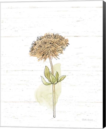 Framed Flowers in Autumn Print