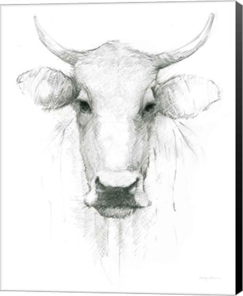 Framed Cow Sketch Print