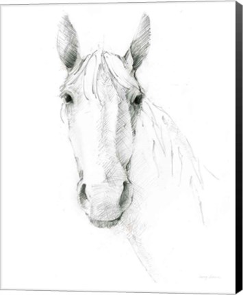 Framed Horse Sketch Print