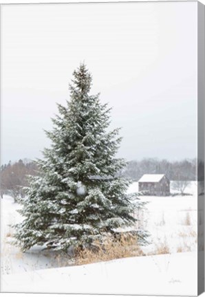 Framed Perfect Pine Tree Print