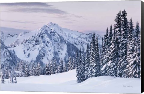 Framed Tatoosh Range Print