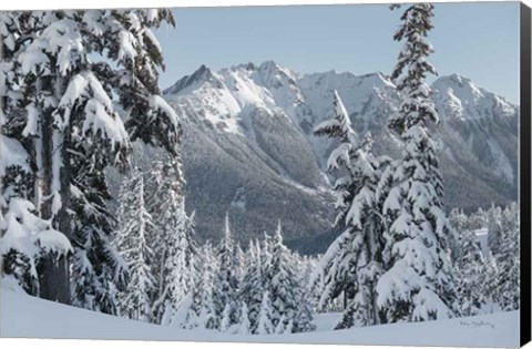 Framed Nooksack Ridge in Winter Print