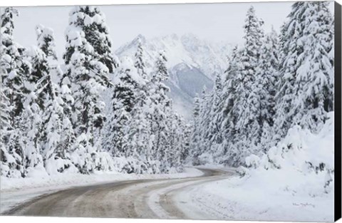 Framed Mount Baker Highway I Print