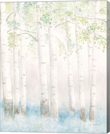 Framed Soft Birches III Print