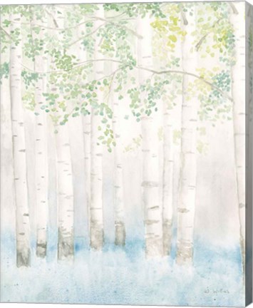 Framed Soft Birches II Print