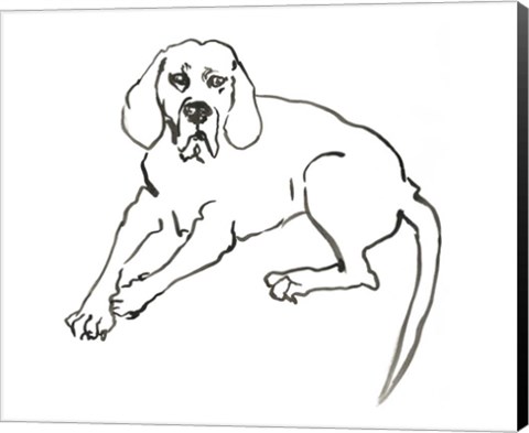 Framed Dog III Print