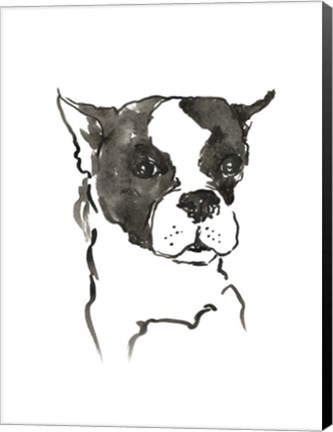 Framed Dog V Print