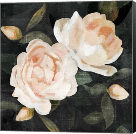 Framed Soft Garden Roses II Print