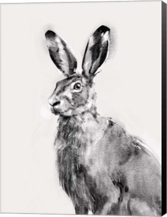 Framed Wild Hare I Print