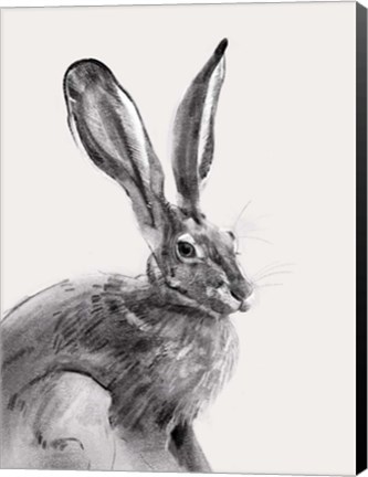 Framed Wild Hare II Print