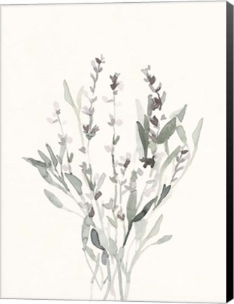 Framed Delicate Sage Botanical V Print