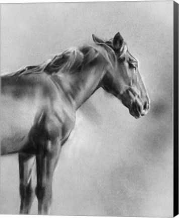 Framed Charcoal Equine Portrait I Print