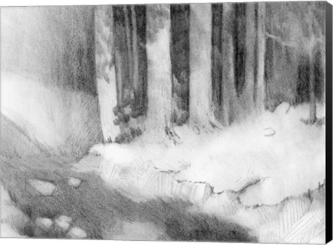 Framed Graphite Glade I Print