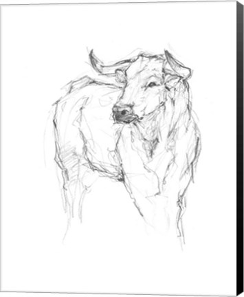 Framed Bull Study I Print